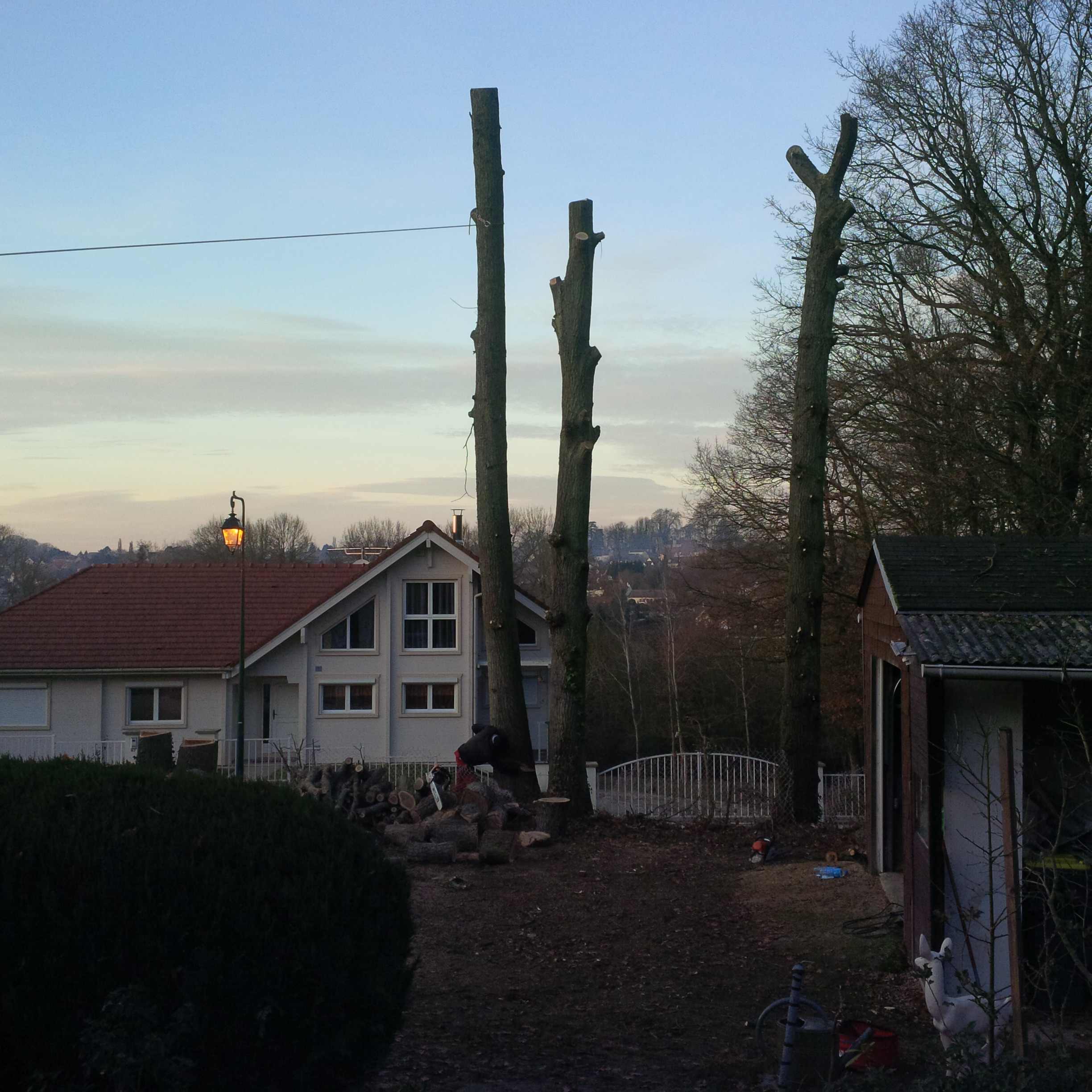 elagage abattage Boissy le Châtel 77169